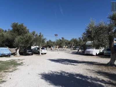 Entrando ci ritroviamo in uno spiazzo su cui si affacciano delle baracche circondate da ulivi